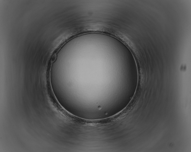 X0000091210482200708231611