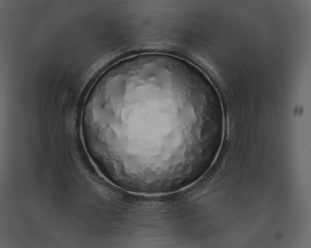 X0000091210483200708231611