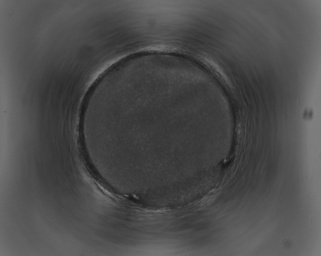 X0000091210484200708231611