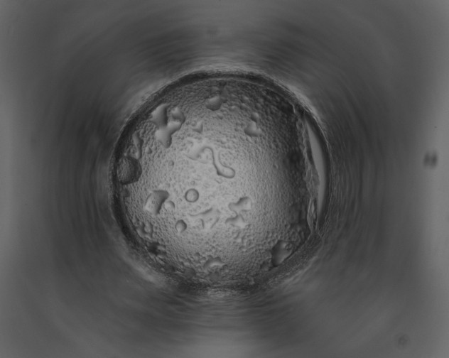 X0000091210487200708231611