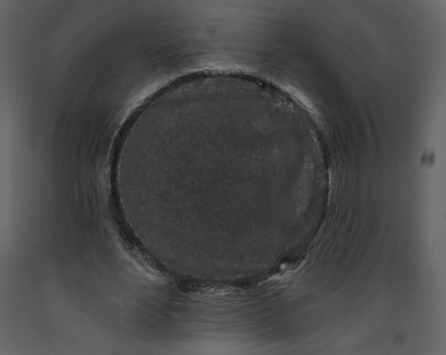 X0000091210488200708231611