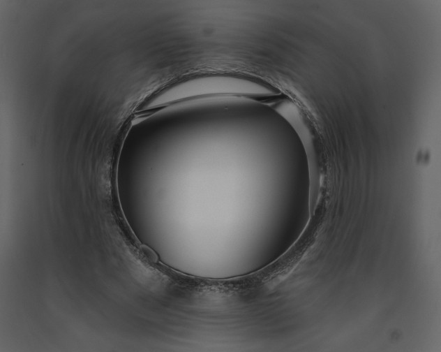 X0000091210489200708231611