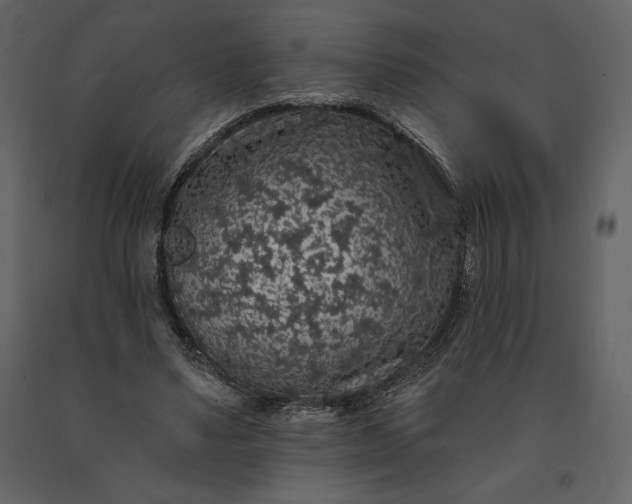 X0000091210491200708231611