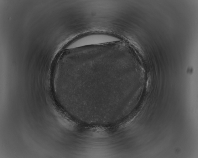 X0000091210492200708231611