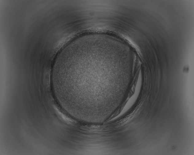 X0000091210493200708231611