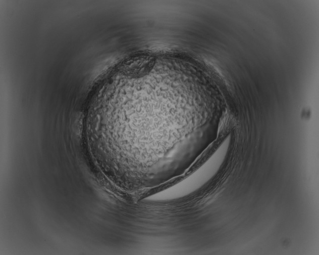 X0000091210495200708231611