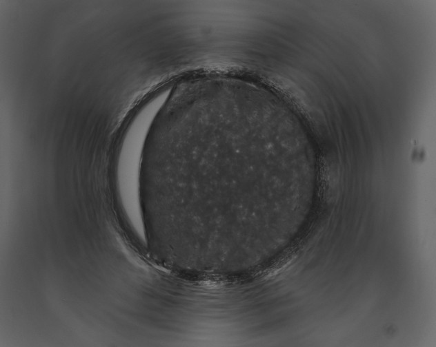 X0000091210496200708231611