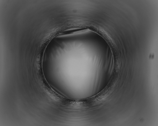 X0000091210497200708231611