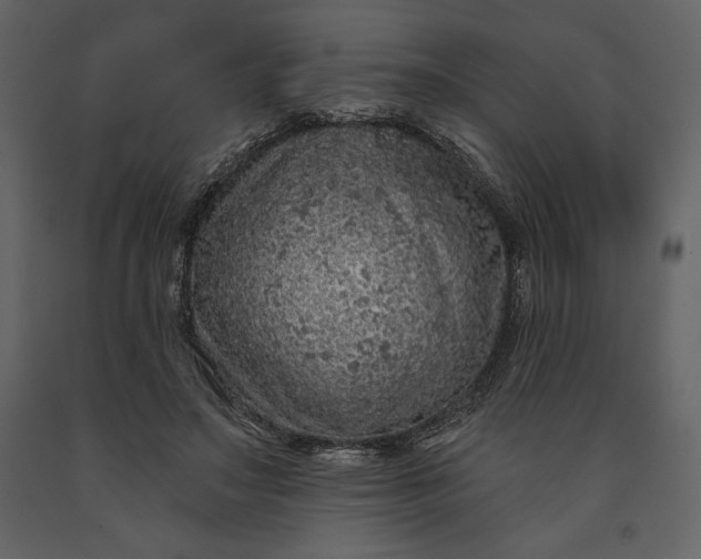 X0000091210499200708231611