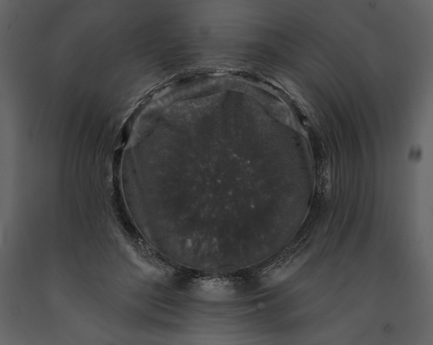 X0000091210500200708231611