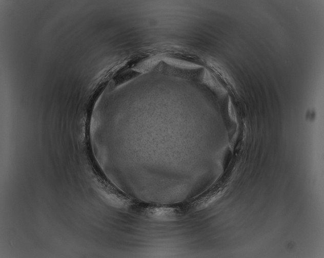 X0000091210501200708231611