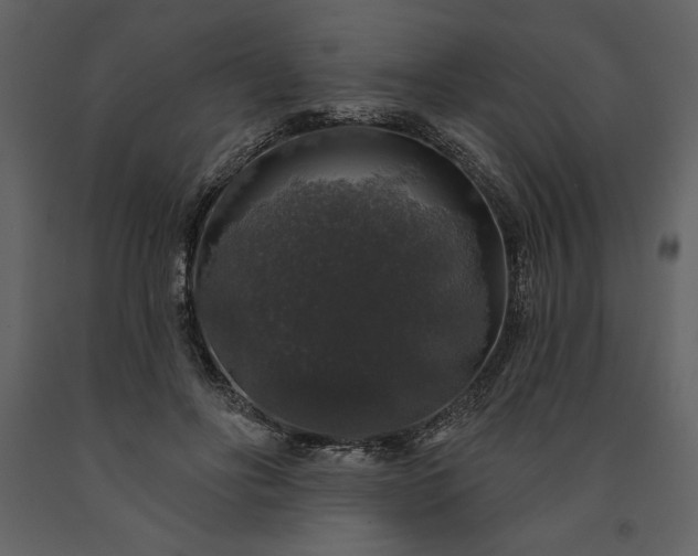 X0000091210502200708231611