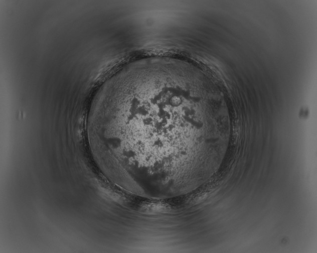 X0000091210503200708231611