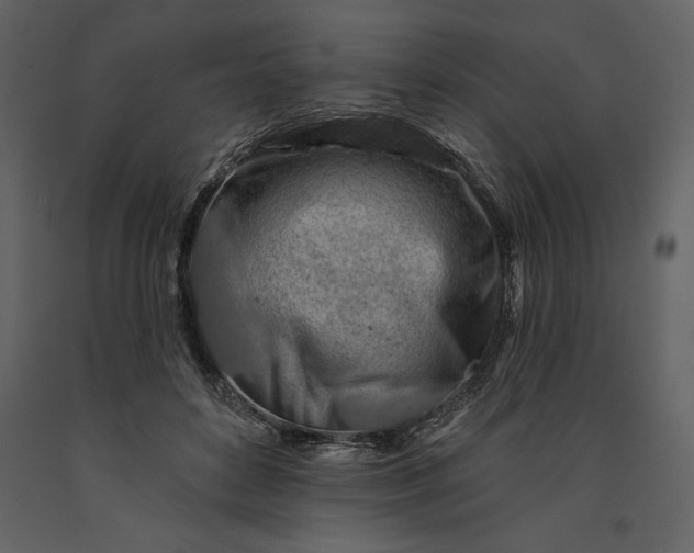 X0000091210504200708231611