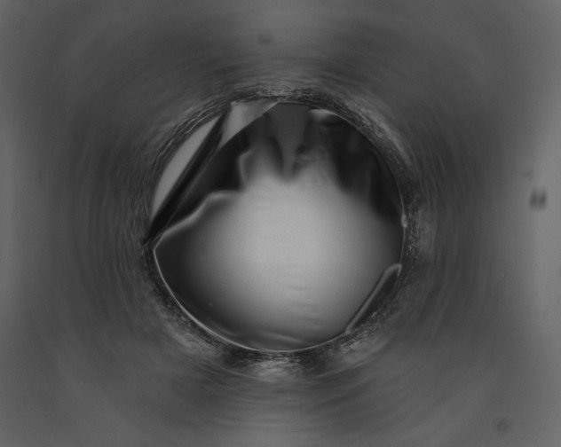 X0000091210505200708231611