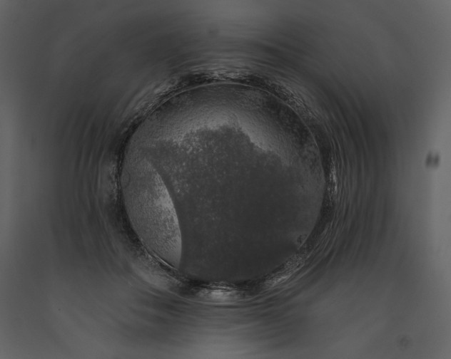 X0000091210506200708231611