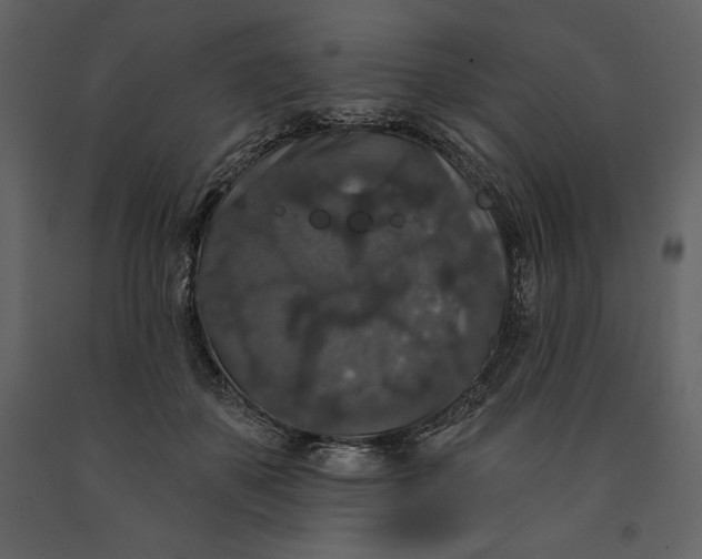 X0000091210507200708231611