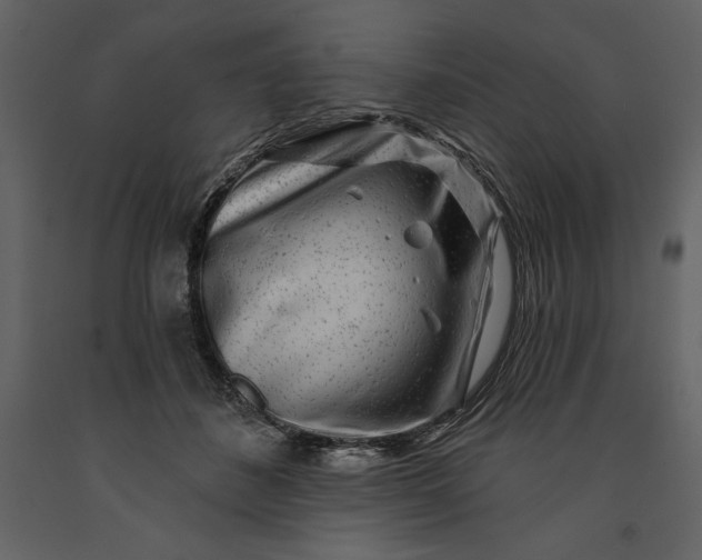 X0000091210508200708231611