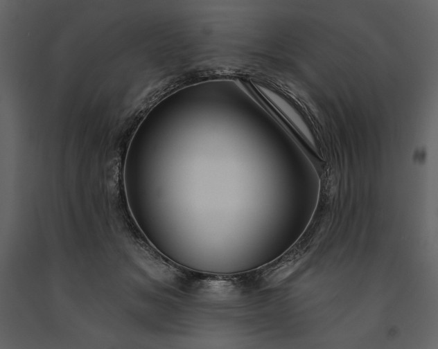 X0000091210509200708231611