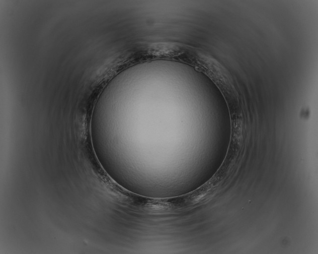 X0000091210510200708231611