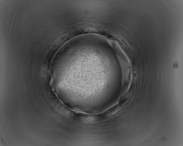 X0000091210513200708231610