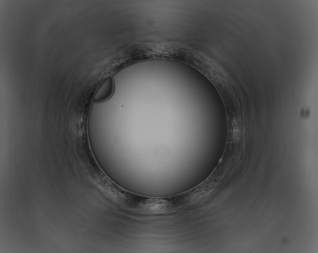 X0000091210514200708231610