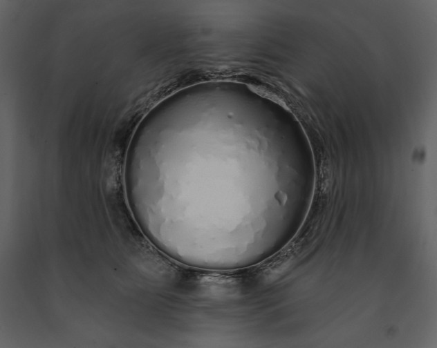 X0000091210515200708231610