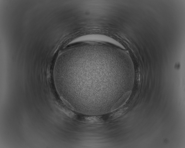 X0000091210516200708231610