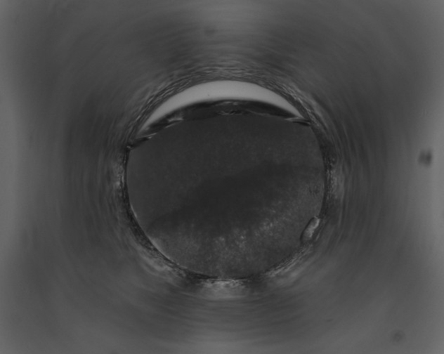 X0000091210517200708231610