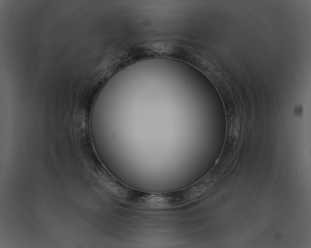 X0000091210518200708231610