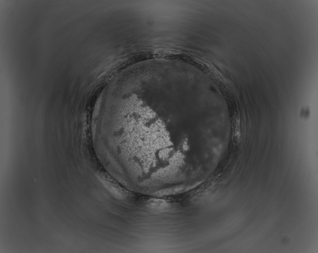 X0000091210519200708231610