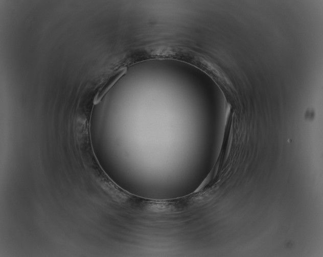 X0000091210521200708231610
