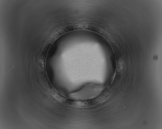 X0000091210522200708231610