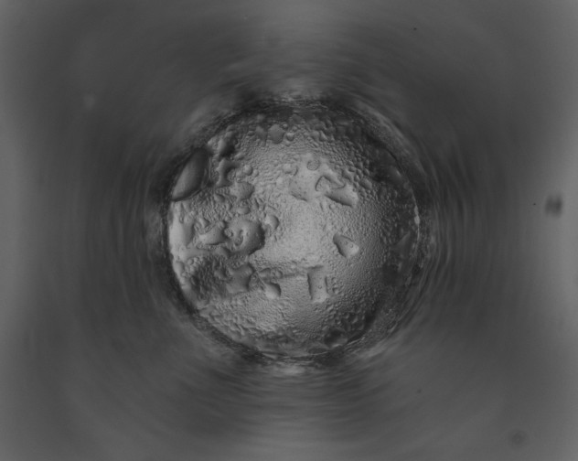 X0000091210523200708231610