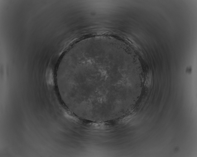 X0000091210524200708231610