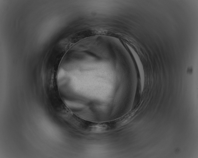 X0000091210525200708231610