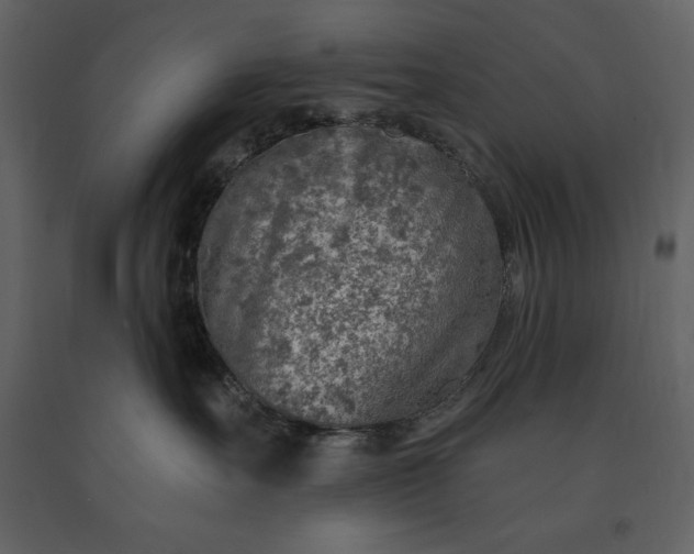 X0000091210527200708231610