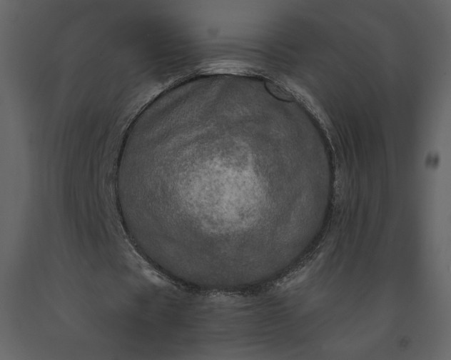 X0000091210529200708231610