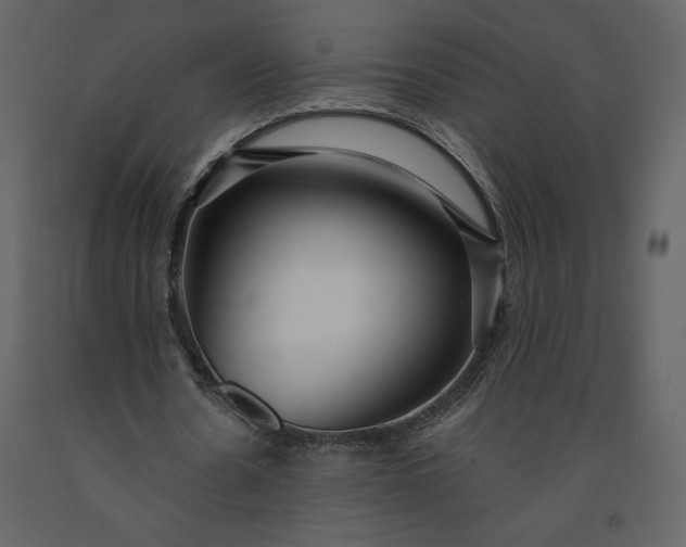 X0000091210530200708231610