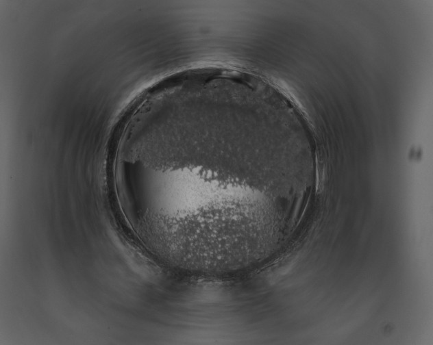 X0000091210531200708231610