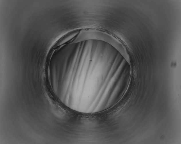 X0000091210532200708231610