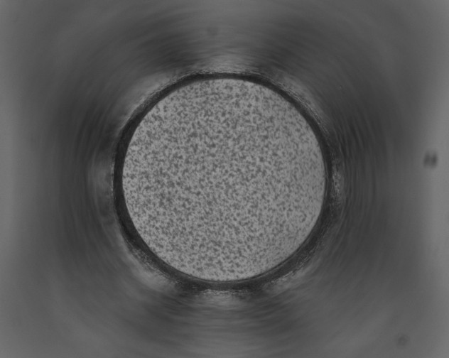 X0000091210534200708231610