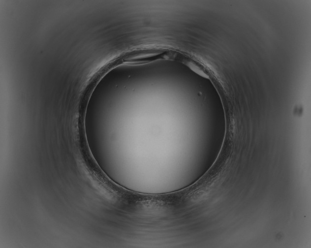 X0000091210535200708231610