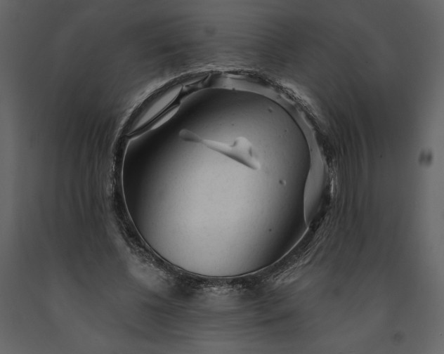 X0000091210540200708231610