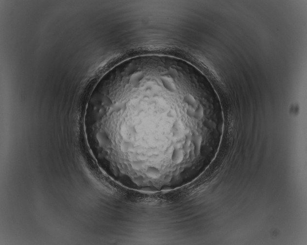 X0000091210542200708231610