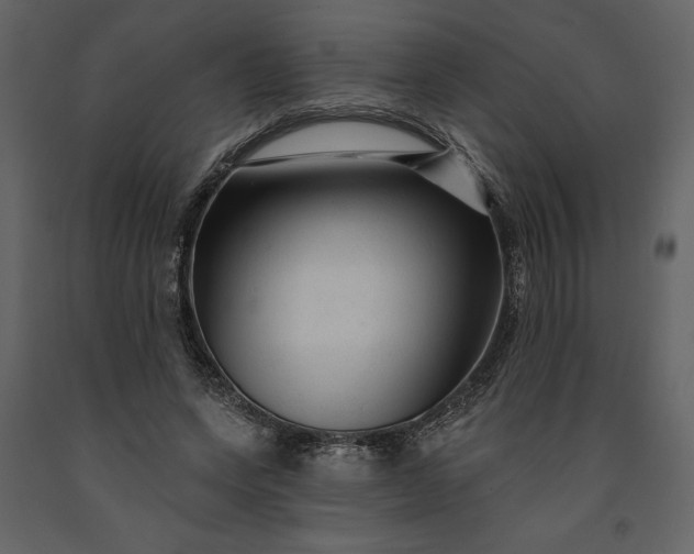 X0000091210543200708231610