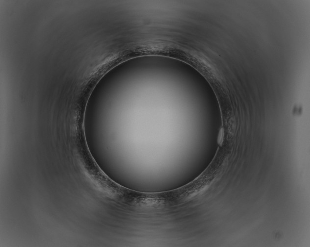 X0000091210546200708231610