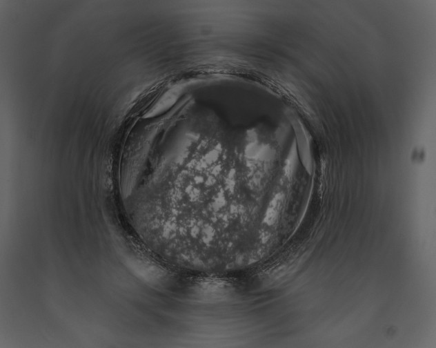 X0000091210547200708231610