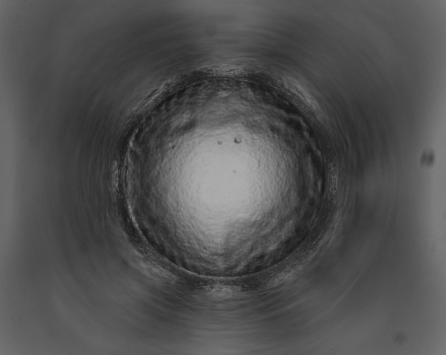 X0000091210549200708231610