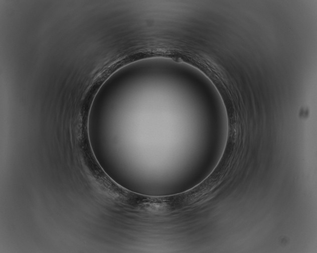 X0000091210552200708231610